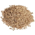 thumbnail image 1 of CUMIN SEEDS (JEERA) 10 LB SPICE BY BULKSHOPMARKET, 1 of 1