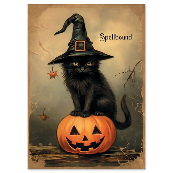 Current Spooky Kitty Halloween Card Set-Large 5 x 7 Inch Cards, Sentiments Inside, Envelopes Included-Set of 8 Single Design