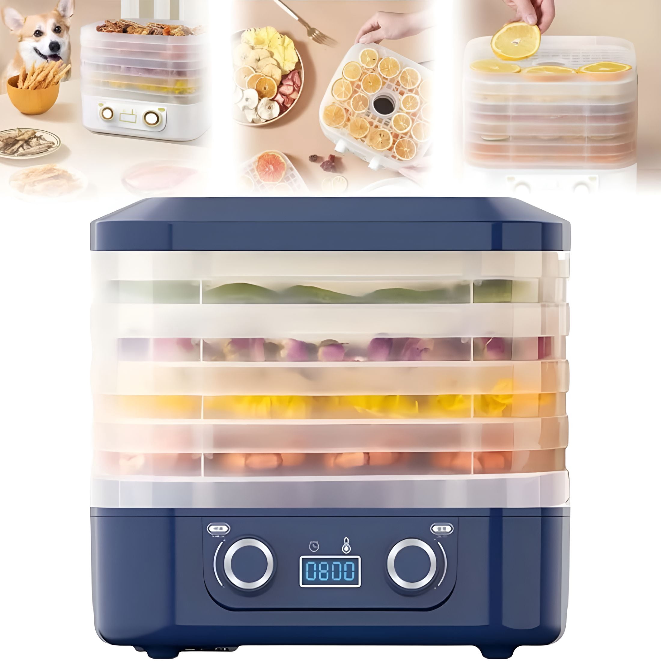 CURYMAY Freeze Dryer Machine for Home, 5 Layer Food Dehydrator with ...