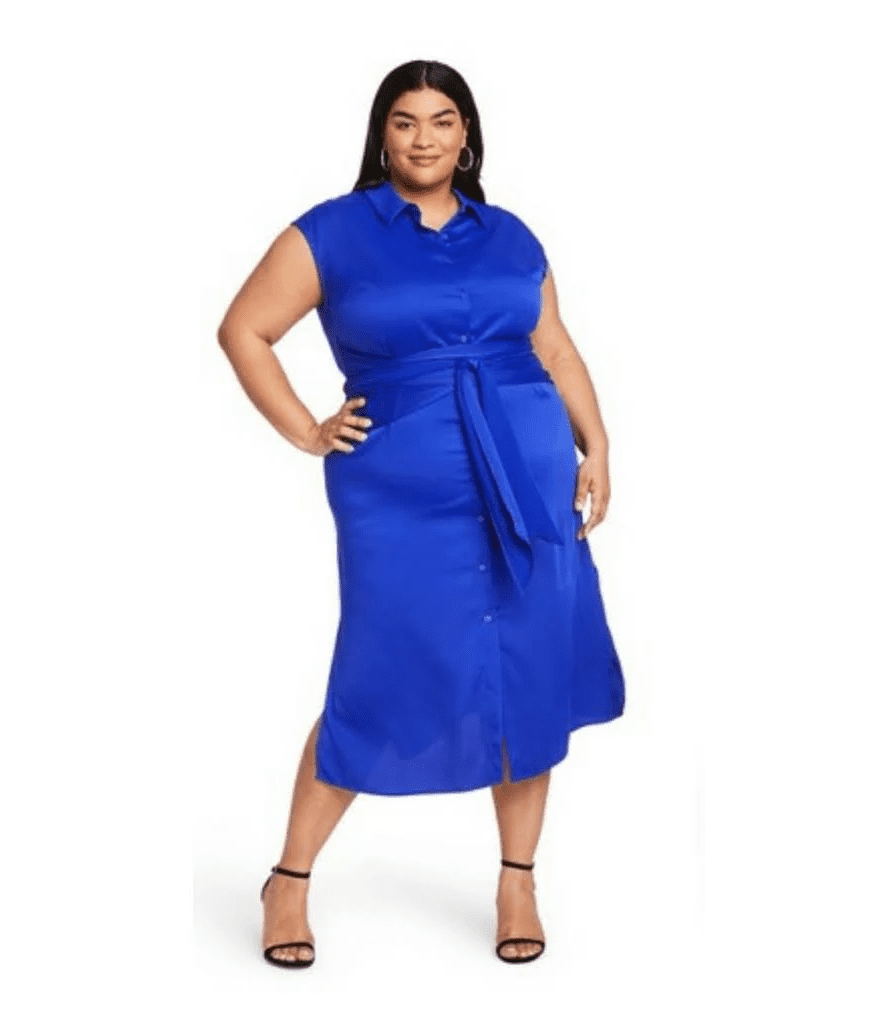 Plus Size Royal Blue Dresses