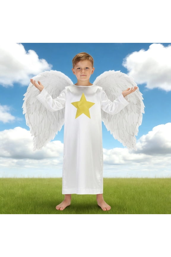 Boys Angel Dress Up Set Stain Skill High Waist Mesh Long Sleeve Long Robe With Wings Fairy Tale Party Gown For Kids Birthday Pageant Outfits Spring Travel Clothes Tracksuit,White,3-5 Years