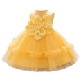 thumbnail image 1 of CUZIBR Girls Formal Dress 3D Floral Applique Sleeveless Satin Pageant Party Tutu Dresses Birthday Party Wedding Gowns,Yellow,6-9 Months, 1 of 5