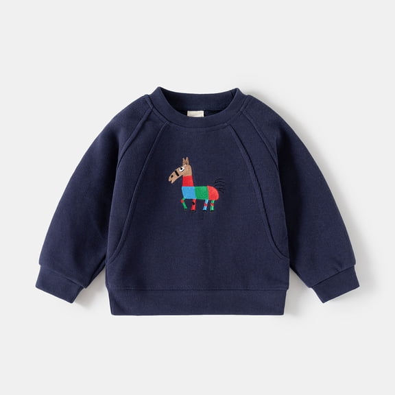 CUZIBR Kids Graphic Sweatshirts Boys Cartoon Dinosaur Print Embroidered Long Sleeve Sweatshirt Relaxed Fit Comfortable Outerwear Soft Fall Clothes,Navy,12-18 Months