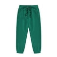 thumbnail image 1 of CUZIBR Teens Big Girls Boys Fuzzy Pants Autumn Winter Solid Color Pajama Trousers Elastic Waist Wide Leg Cozy Soft Outdoor Baggy Sweatpants,Green,2-3 Years, 1 of 3