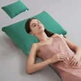 thumbnail image 1 of CVLNCYCLING Clearance Bed Pillows for Sleeping Standard / Queen Size,Artemisia Skin Care Cotton Embroidered Pillow Core Hotel Pillows for Adults for Back, Stomach or Side Sleepers 15.76x13.79inch, 1 of 6