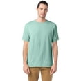 thumbnail image 1 of CW100 Hanes Adult ComfortWash Garment Dyed Short Sleeve Tee Honey Dew S, 1 of 3