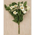 thumbnail image 1 of CWI Gifts Country Daisy Bush, 12-Inch, Cream, 1 of 1