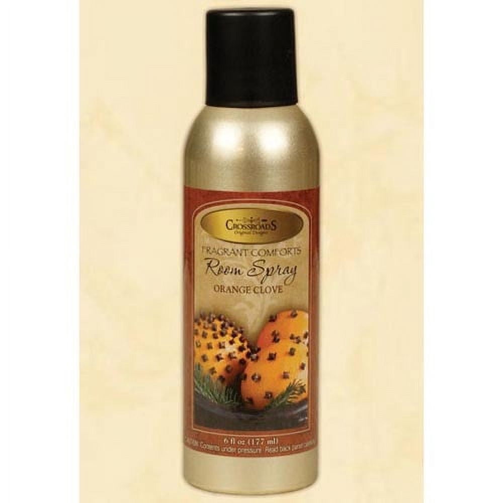 CWI Gifts Orange Clove Scent Cubes - 6 Wax Cubes, 2 Oz, Fall Home Fragrance