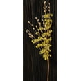 thumbnail image 1 of Curly Q Pick - Yellow, 1 of 1