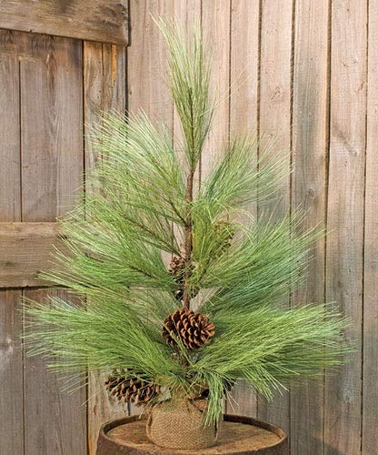 CWI Gifts Long Needle Pine Tree, 30