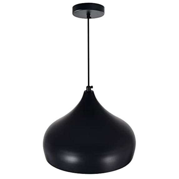 CWI Lighting Dynamic 1 Light Modern Metal Down Pendant in Black
