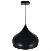 CWI Lighting Dynamic 1 Light Modern Metal Down Pendant in Black