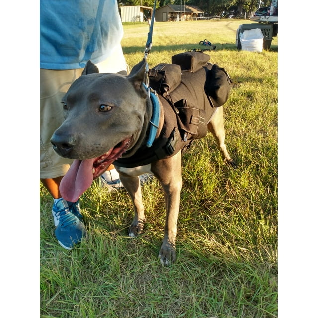 CWS Weighted Dog Vest + Flotation Vest Large 15 Lbs.