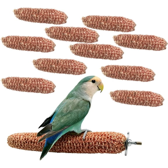 CYFW Bird Natural Corn Cob Perch Teeth Grinding Chewing Toy Sticks Bird Boredom Relief for Birds Parrots Cockatiels Conure Budgies F"Es Lovebirds (10 Oz)