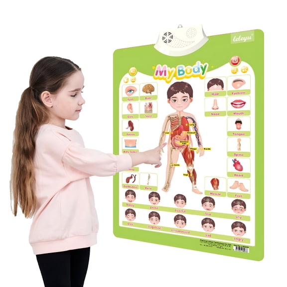 CYFW Electronic Alphabet Wall Chart, Alphabet Wall Chart, Educational Toys For Kids 5-7 Year Old - Vertical ABCD Learning Wall Chart For Toddlers, Interactive Map For Kids, Batteries Not Included