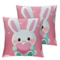 CYING Pillow Cover With Zipper Throw Pillow Cases Double Sided Plush