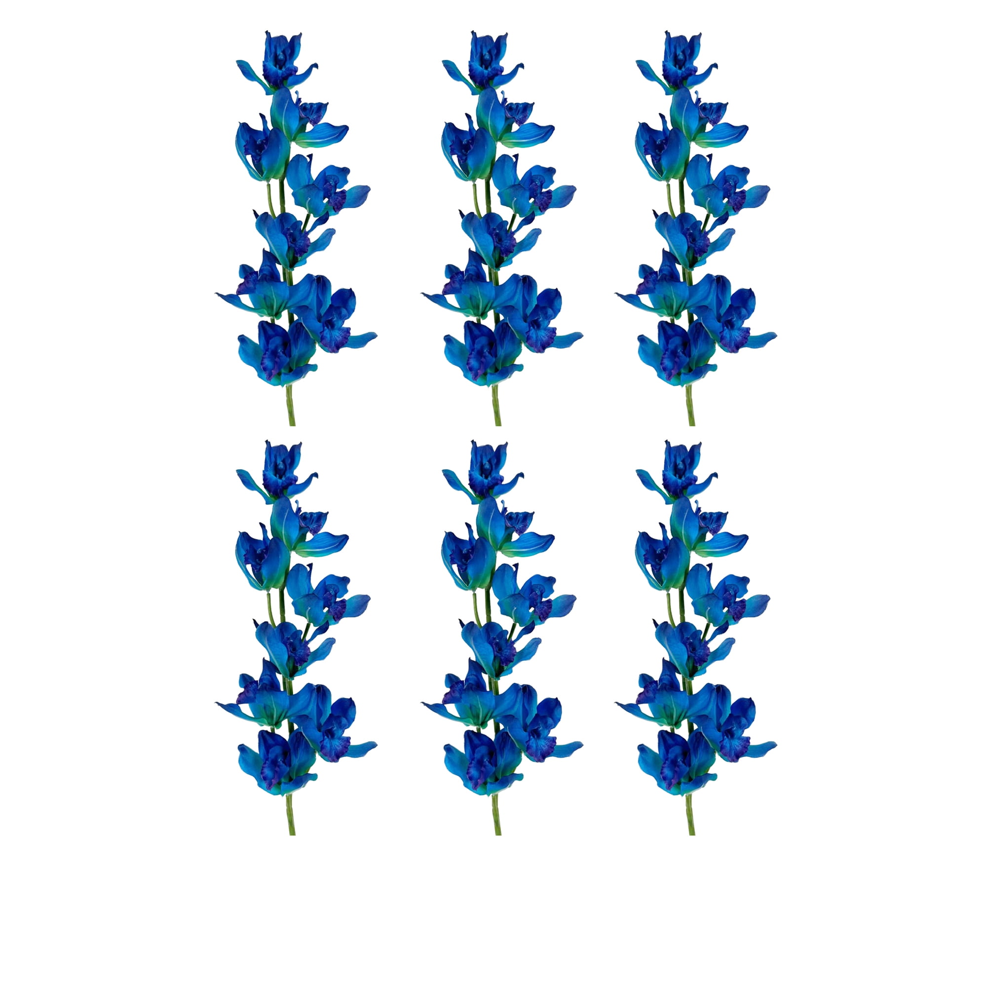 (6 pack) Mainstays 32" Artificial Blue Cymbidium Orchid Stem