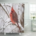 thumbnail image 1 of CYNLON Bird Red Northern Cardinal in The Snow White Bathroom Decor Bath Shower Curtain 66x72 inch, 1 of 1