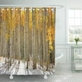 thumbnail image 1 of CYNLON Black Birch Aspen Trees in The Snow Early Winter Bathroom Decor Bath Shower Curtain 60x72 inch, 1 of 1
