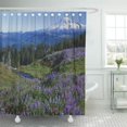 thumbnail image 1 of CYNLON Charles USA Washington Mt Adams Wilderness Gurche Rainier Natural Bathroom Decor Bath Shower Curtain 60x72 inch, 1 of 1