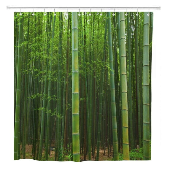 CYNLON Green Bamboo Forest Climate Culture Curve Day Dense Bathroom Decor Bath Shower Curtain 60x72 inch
