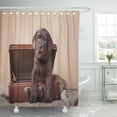 thumbnail image 1 of CYNLON Green Chocolate Studio Portrait Puppy Brown Labrador on Colored Bathroom Decor Bath Shower Curtain 66x72 inch, 1 of 1