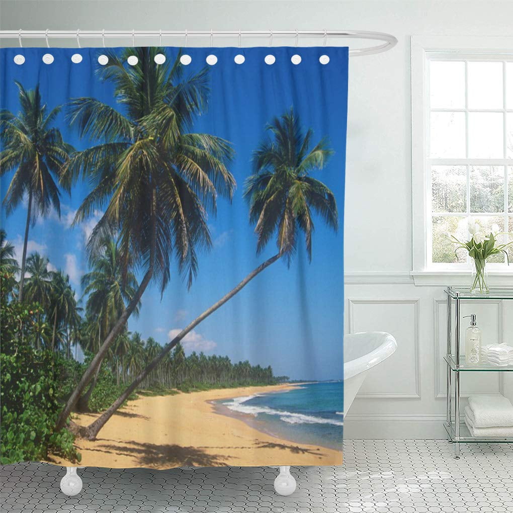 CYNLON Greg Puerto Rico Isla Verde Palm Johnston Beach Tropical