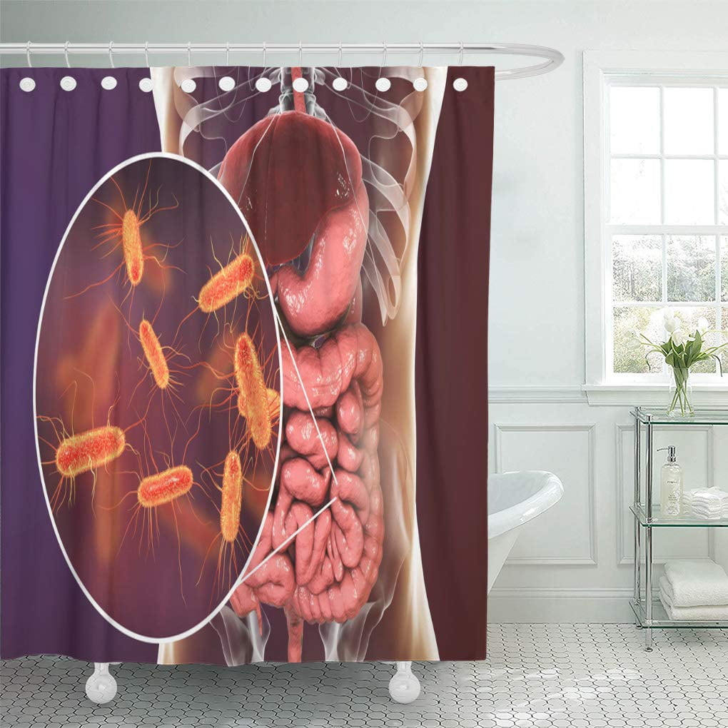 CYNLON Intestinal Microbiome 3D Showing Anatomy of Human Digestive System Bathroom Decor Bath