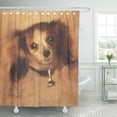 thumbnail image 1 of CYNLON King Head of Dog by Pierre Renoir Vintage Charles Bathroom Decor Bath Shower Curtain 66x72 inch, 1 of 1