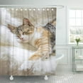 thumbnail image 1 of CYNLON Kitten Sleeping Cute Cat Felines Kitty Mammals Meow Bathroom Decor Bath Shower Curtain 60x72 inch, 1 of 1