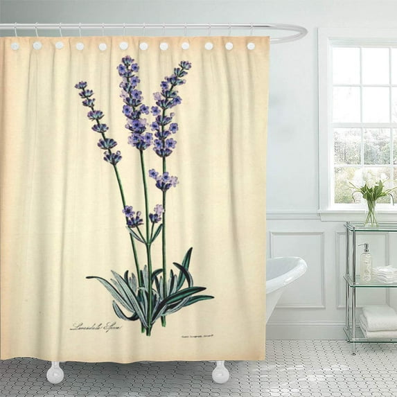 CYNLON Lavendar Vintage Botanical Lavender Gardener Botany Victorian French Antique Bathroom Decor Bath Shower Curtain 66x72 inch