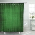 thumbnail image 1 of CYNLON Medieval Green Velvet Look Gothic Bathroom Decor Bath Shower Curtain 60x72 inch, 1 of 1