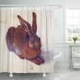 thumbnail image 1 of CYNLON Snow Young Hare by Albrecht Durer Renaissance Winter Rabbits Bathroom Decor Bath Shower Curtain 66x72 inch, 1 of 1