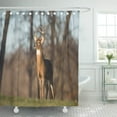 thumbnail image 1 of CYNLON White Whitetailed Deer Buck in Meadow Jefferson Barracks National Bathroom Decor Bath Shower Curtain 66x72 inch, 1 of 1