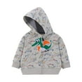 thumbnail image 1 of CYRBOKO Baby Boys Sweatshirts, Crew Neck Soft Long Sleeve Casual Tops with Zipper Gray Size 9-12 Months, 1 of 3