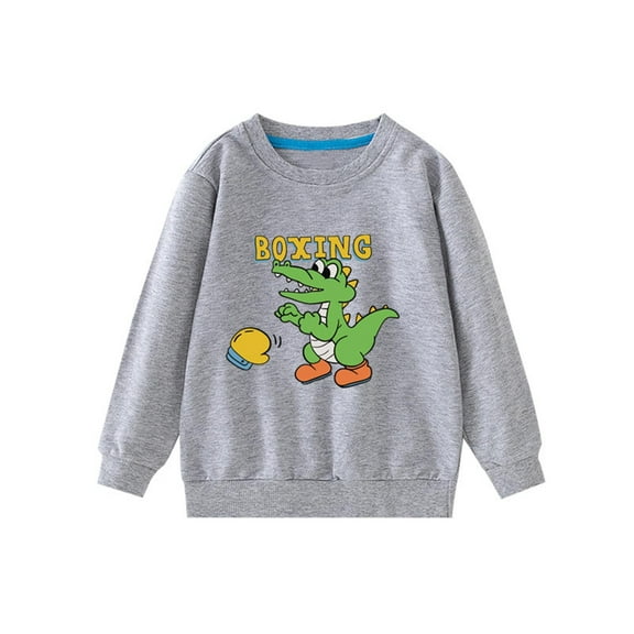 CYRBOKO Boy's Pullover Sweatshirts, Crew Neck Cotton Pullover Autumn Tops with Long Sleeve Gray Size 5-6 T