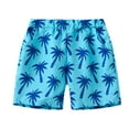thumbnail image 1 of CYRBOKO Boys Summer Shorts, Lightweight Swimming Elastic Waist 2025 Beach Shorts Blue Size 6-7T, 1 of 7