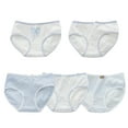 thumbnail image 1 of CYRBOKO Girls'Brief Underwear, Cotton 5PC Elastic Waist 2025 Hipster Panties Multicolor Size 14-15 T, 1 of 9