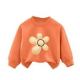thumbnail image 1 of CYRBOKO Sweatshirts for Girls, Crew Neck Cotton Soft Autumn Long Sleeve Pullover Orange Size 9-10 T, 1 of 3