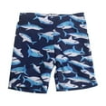thumbnail image 1 of CYRBOKO Boys Graphic Swim Trunks, Sunscreen Quick-drying Summer Elastic Waist Beach Shorts Blue Size 8-9 T, 1 of 2