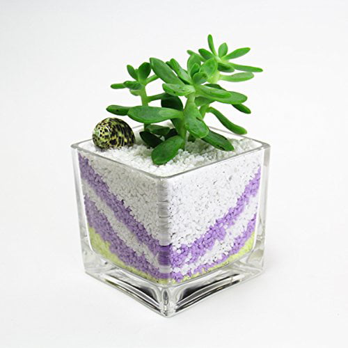 CYS EXCEL 12pc Clear Square Glass Vase Cube 5 Inch 5" X 5" X 5