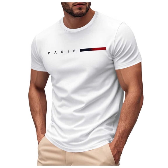 CYiJun George Mens Short Sleeve Tee Color Block Crew Neck Pullover Casual Basic T Shirts