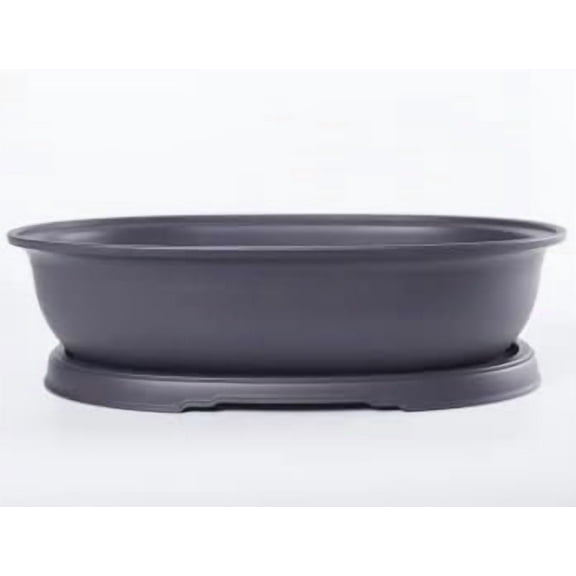 CZ Grain 10 Inch Oval Bonsai Pots and Drip Tray - Heavy Duty Didspay Pot (1 Pot)