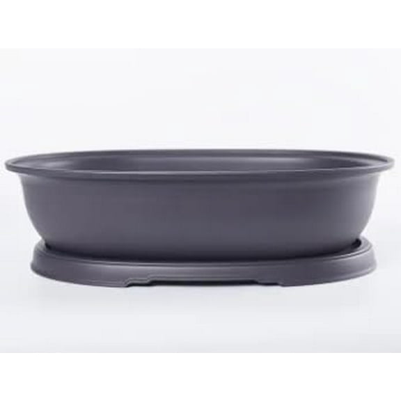 CZ Grain 10 Inch Oval Bonsai Pots and Drip Tray - Heavy Duty Didspay Pot (5 Pots)