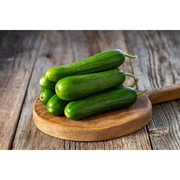CZ Grain 10 Picolino Mini Cucumber Plant Seeds, Fresh Garden Vegetables