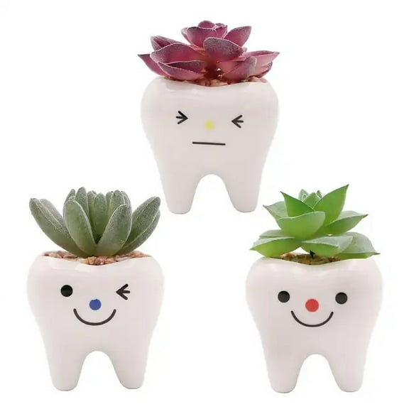 CZ Grain 3 Pots | 3 Inch | Small Succulent Ceramic Teeth Pots, Cute Home and Office Decor
