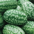 thumbnail image 1 of CZ Grain 30 Cucamelon Seeds, Mouse Melon Seeds for Growing Exotic Garden Fruit, 1 of 2