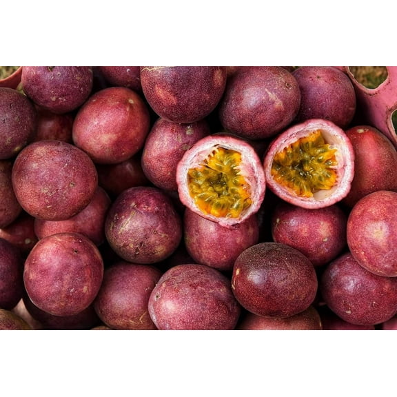 CZ Grain 50 Passion Fruit Seeds, Very Healthy Fruit