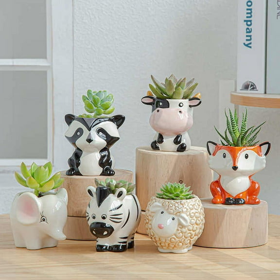 CZ Grain 6 Pots | 3 Inch | Small Succulent Plant Ceramic Animal Pots, Cute Home and Office Decor
