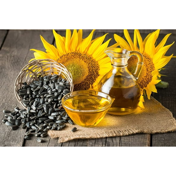 CZ Grain Black Oil 200+ Sunflower Seeds 200+, Attracts Birds